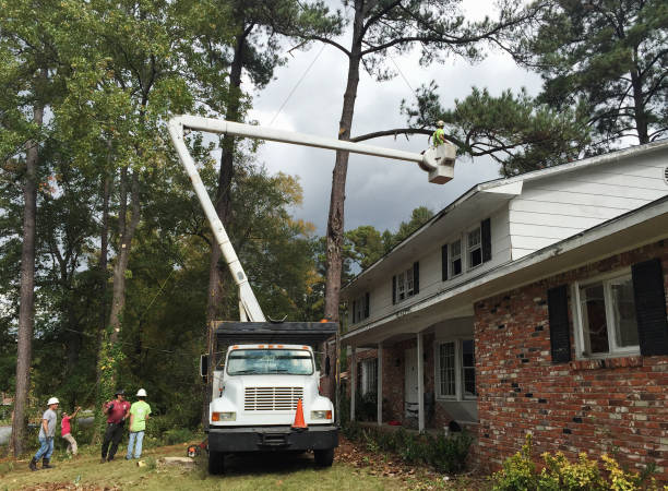 Best Utility Line Clearance  in East Dublin, GA